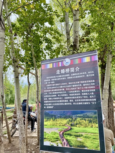 滇西北亞丁自由行D6（漫遊瀘沽湖，轉山日的祈福與晨光）2026.9.63129872