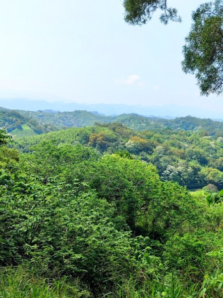 造橋車站-口山古道-鹿廚坑步道3039851