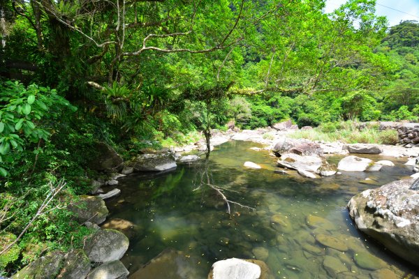 灣潭古道-探索夢潭真面目1032158