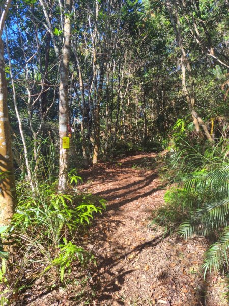 守關山南峰 守關山 守城大山2919136