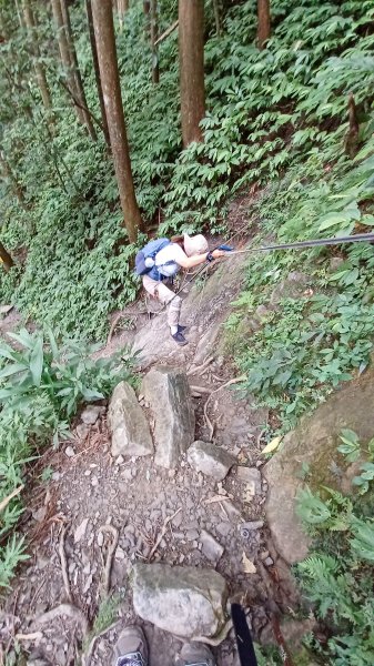 【苗栗南庄】向天湖山光天高山小O繞2933174