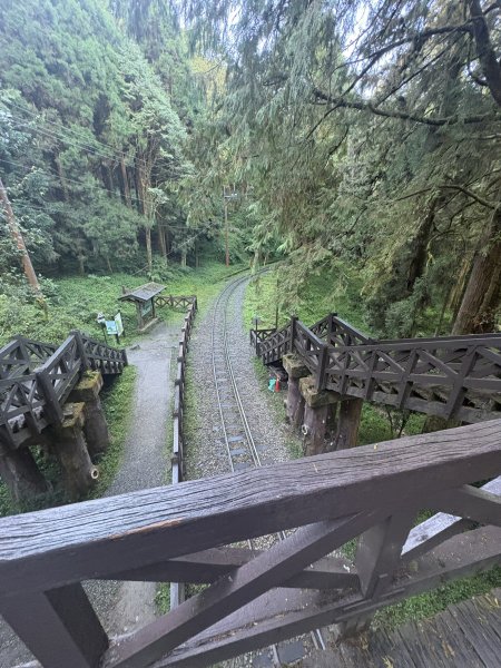 20251225塔山步道(大塔山)2970272