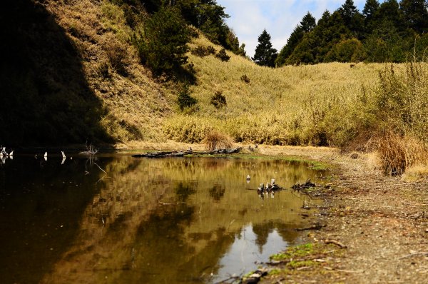 武法奈尾山天巒池872519
