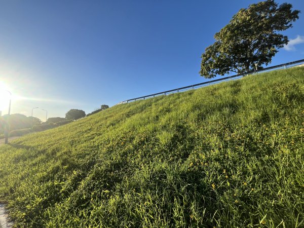 [2025臺北健走趣-02/49] 2025_0630_古亭河濱公園2825336