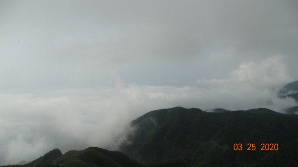 蒼天不負苦心人，再度陽明山雲海891440