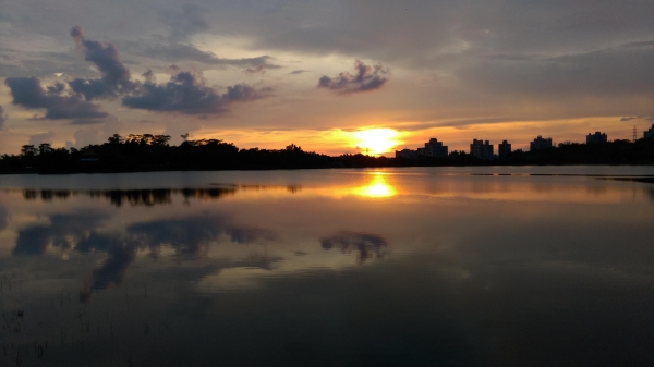 諸羅八景之首~紅毛埤夕照54568