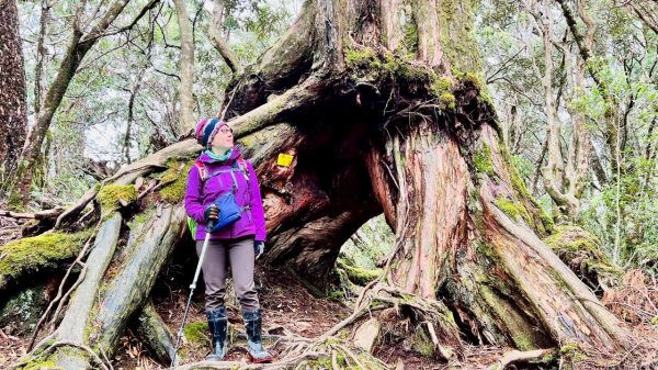 🌈4/13（日）（三）魔法森林-塔曼山~FB：熊熊趴爬走🌈2761292