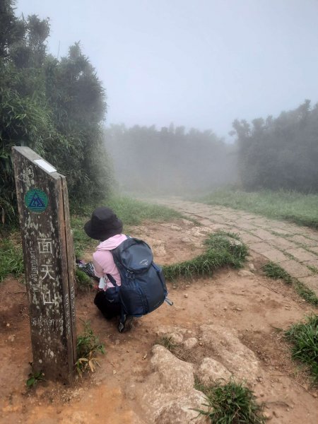 20230709 中正山縱走面天向天山，冰泰酥朵頤2211943