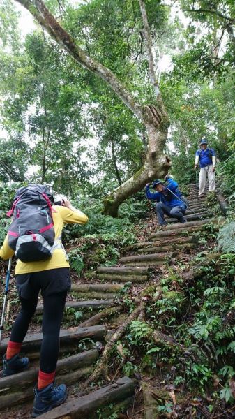 火紅ㄉ馬那邦山226157