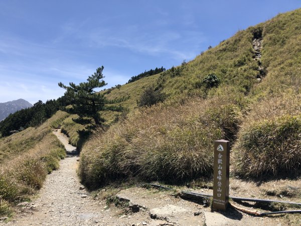 合歡百岳(東峰+石門山)賞杜鵑2131559