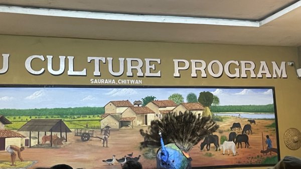 尼泊爾奇旺國家公園4天三夜2788952