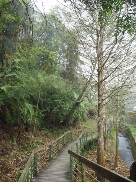 南投魚池頭社水庫生態步道20200216838349