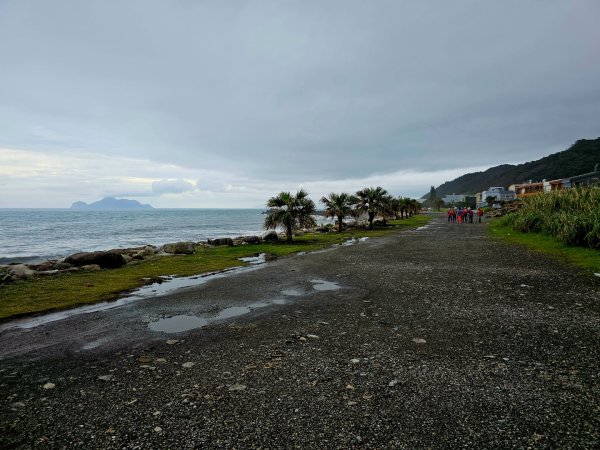 草嶺古道 - 2024草嶺古道芒花季2650879