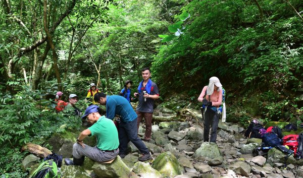 2022-08-21 五腳松古道-金孔坪-菜頭崙-小觀音山北北峰-紅葉谷瀑布-內柑宅古道O形1814375