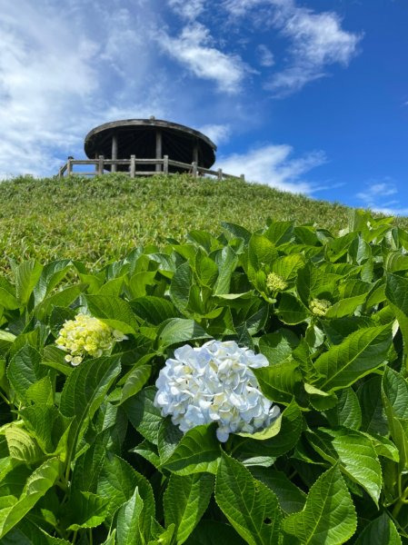 小百岳(94)-太麻里山-202206041780148