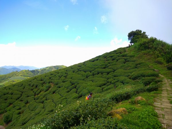 小百岳：嶺子腳山(太平山)1184387