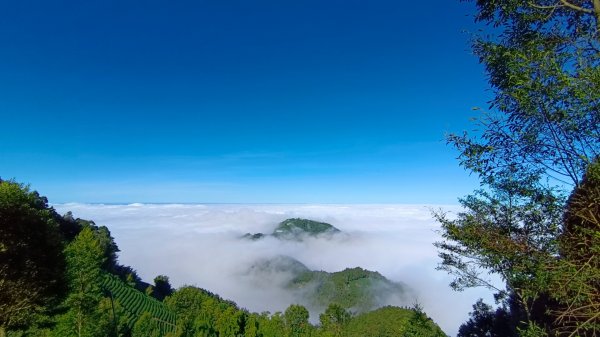 溪頭~金柑樹山/嶺頭山/忘憂森林O形走（沿路竟是耶穌光）1884176