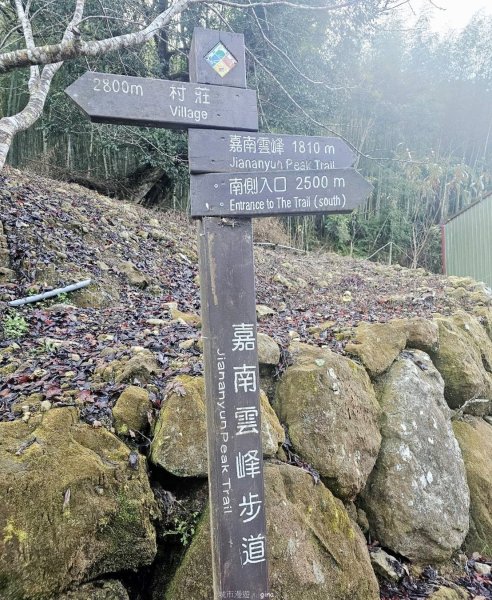 【雲林古坑】舒適宜人。 石壁山連走好望角嘉南雲峰2755248