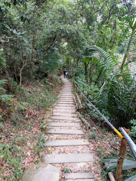 台中南觀音山(小百岳#42)步道 2020/10/171429179