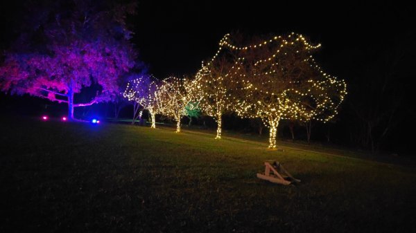 惠蓀大O聖逆走二部曲  2024年12月29日2679256