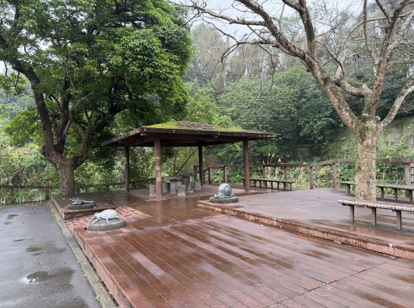 [樟之細路_第一大段RSA01] 2026_0329 大平紅橋3026647