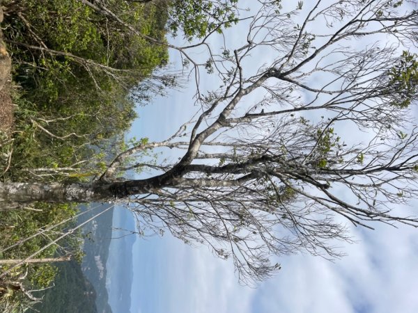 北部三大岩場-筆架連峰-皇帝殿-五寮尖拍空拍寫真💙2734091