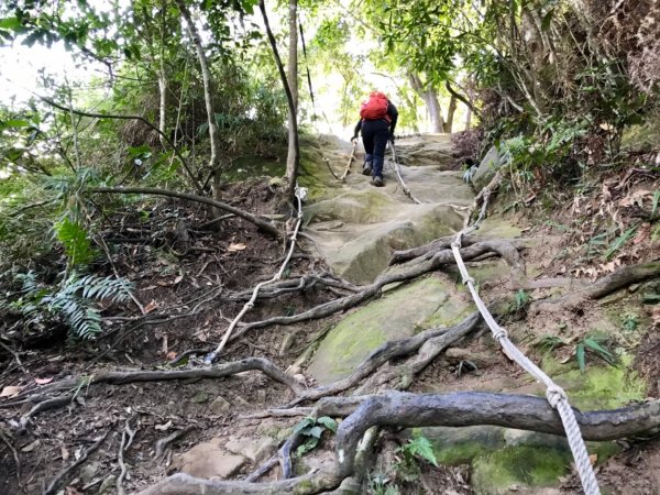 五寮尖上大風狂448892