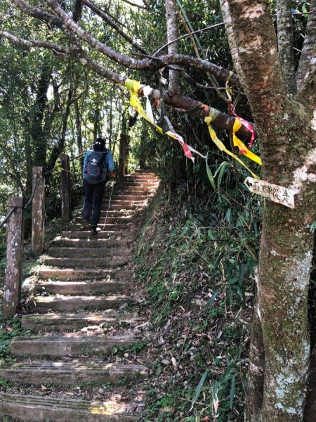 菁桐古道、耳空龜山1896712