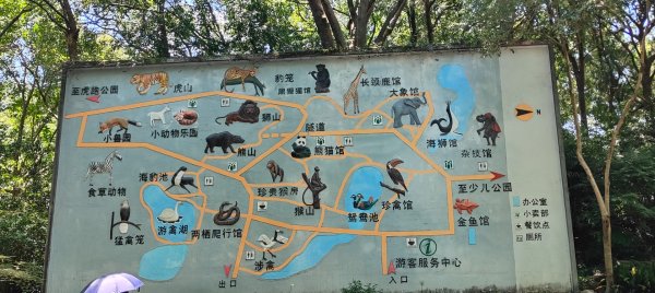 杭州動物園3089144