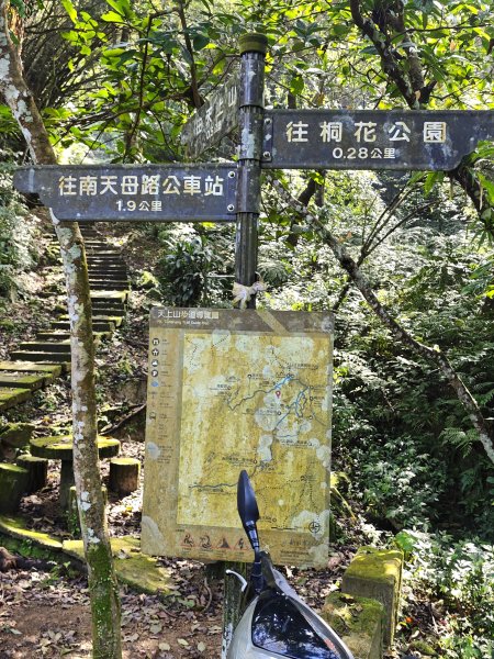 2026-0221造鎮-太極嶺-桐花公園-承天禪寺-永寧站3005808