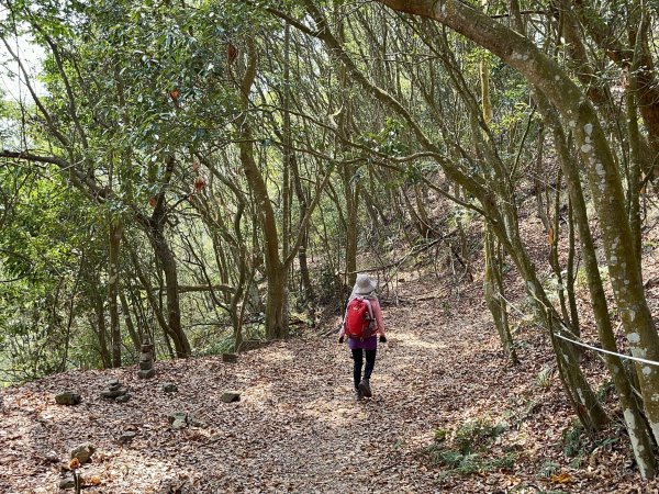 暗影山 西北稜上 南稜下 接仙女瀑布1317869