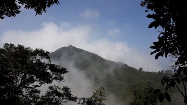 步道巡訪員│四大天王山步道三月巡訪日誌871301