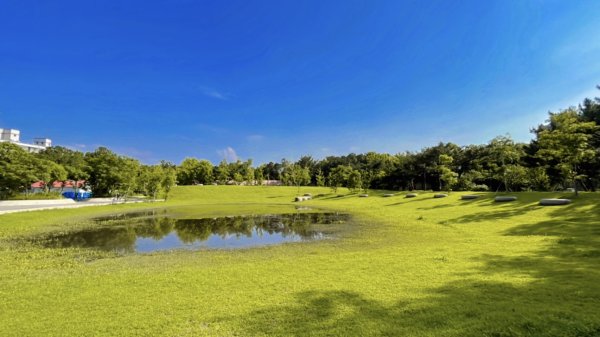 大湳森林公園2817301