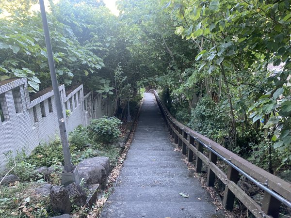 【四獸山 Short】虎豹象先行！獅山封閉中，等新步道開箱再相見2888870