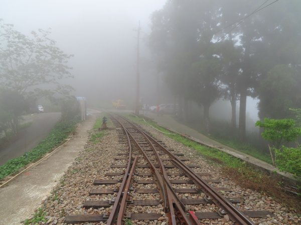 寧靜的小山村:水社寮973327