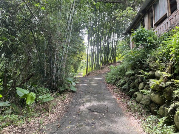 [皮皮獅Hike客任務-05/10] 2024_0721 石硬子古道(石峎古道)2557512