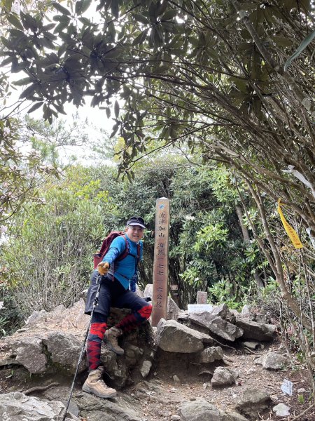 台中 和平 波津加山2761891
