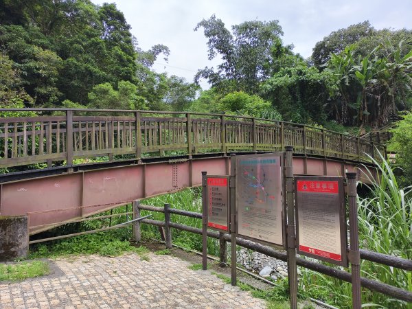 [百山百鳥尋旅-08/15] 2025_0831 大坑1號步道2876171