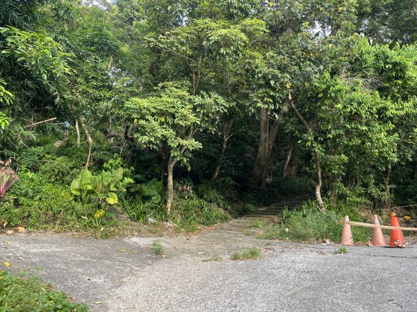 [微笑山線_第五段] 2025_0705 天上山系_國旗嶺2830060