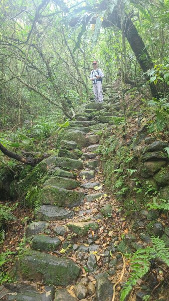 2025-01232淡蘭古道北二段(燦光寮古道到澳底)2696614