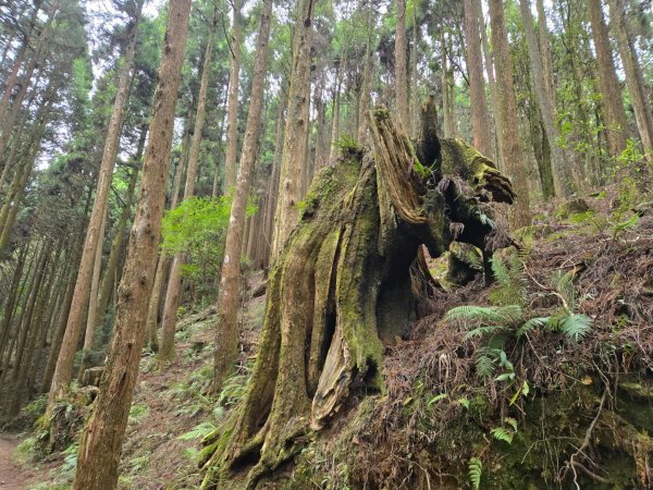 石山引水道2758969