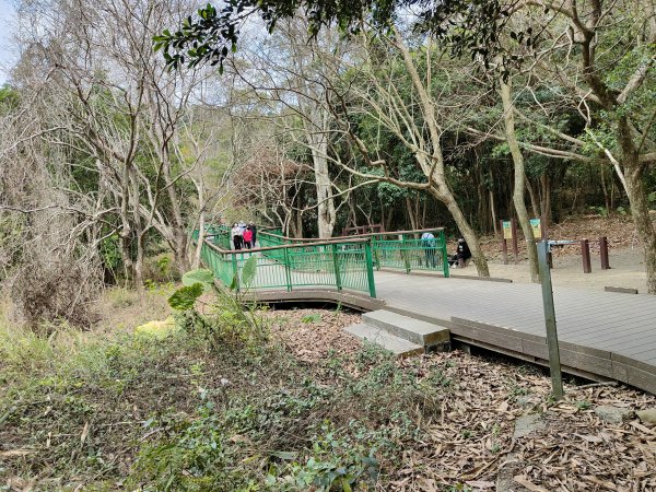 中央嶺造林步道2372072