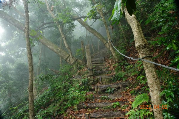 臺南 南化 王爺崙山1664023
