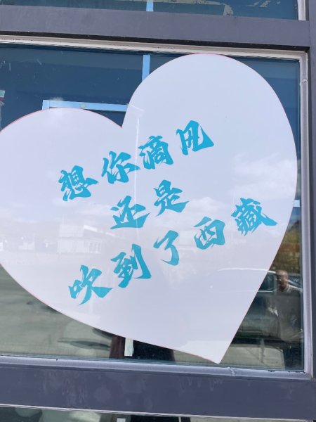 西藏♥️可愛動物🐎人物寫真/拉薩旅拍/美食2903302