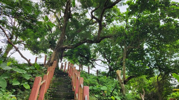 鵲子山，廻音谷瀑布，猴洞坑瀑布，望龍埤步道，飛龍步道，蘇澳砲台山2490702