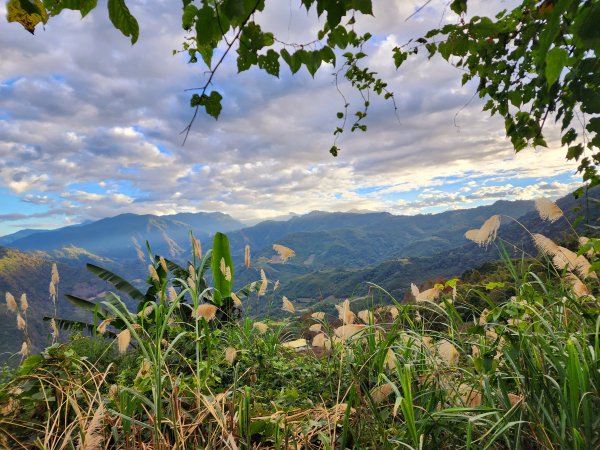 小百岳集起來-馬那邦山2181232