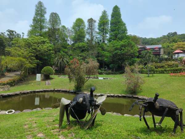 2024.04.13－九芎湖步道2476852