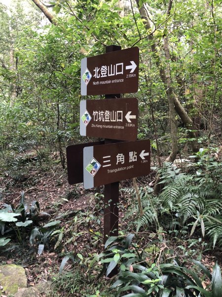 台灣小百岳No.080 里龍山908211
