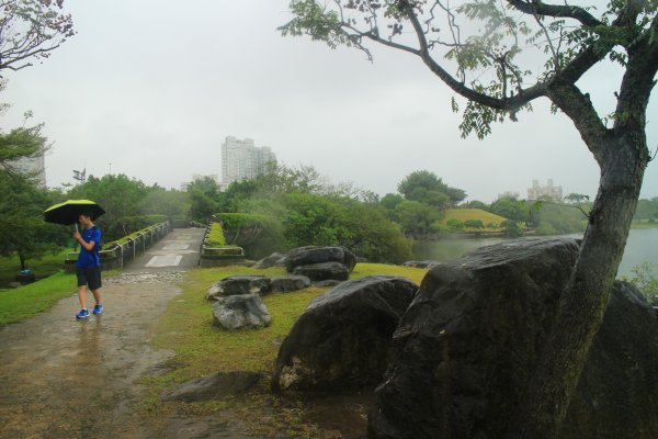 雨紛紛之羅東運動公園202011281190298