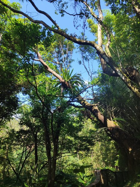 臺北大縱走第六段：中華科技大學至捷運麟光站2790267